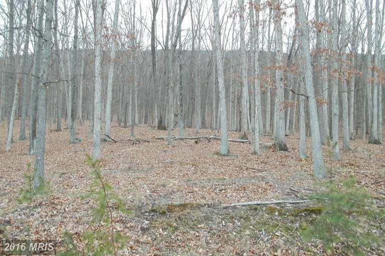 CHESTNUT OAK LANE, Romney, WV 26757