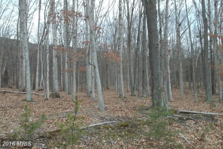 CHESTNUT OAK LANE, Romney, WV 26757
