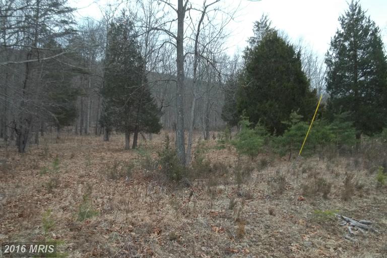CHESTNUT OAK LANE, Romney, WV 26757