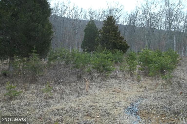 CHESTNUT OAK LANE, Romney, WV 26757
