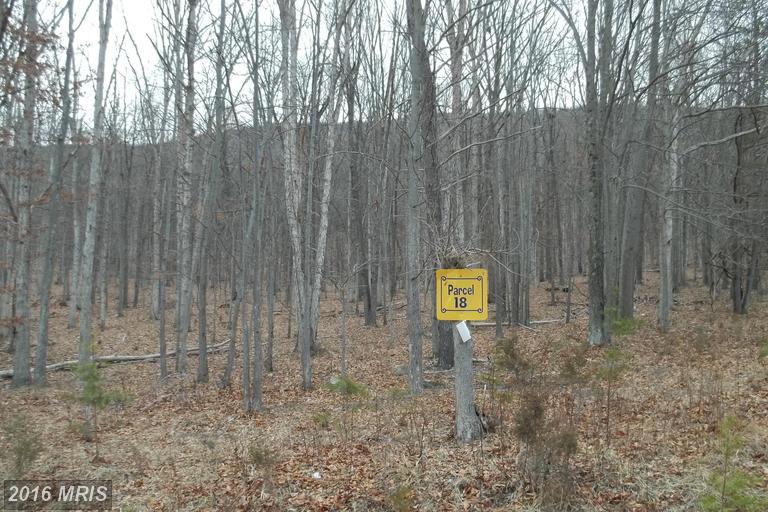 CHESTNUT OAK LANE, Romney, WV 26757
