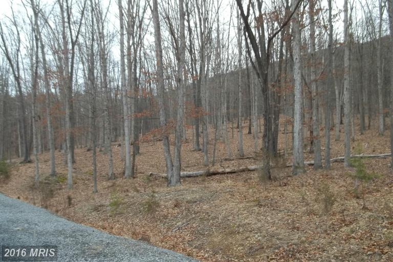 CHESTNUT OAK LANE, Romney, WV 26757
