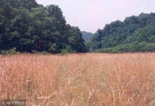 LAZY RIVER ROAD, Springfield, WV 26763