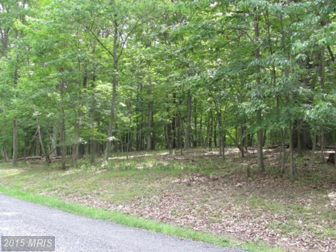 4 RAVENS ROCK ROAD, Springfield, WV 26763