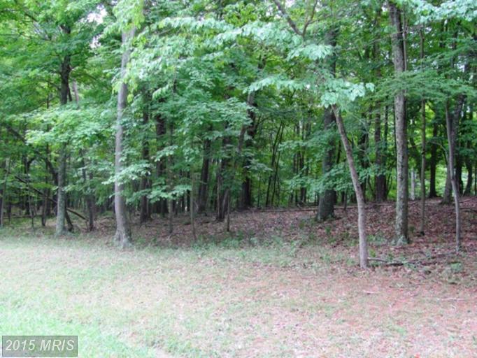 4 RAVENS ROCK ROAD, Springfield, WV 26763