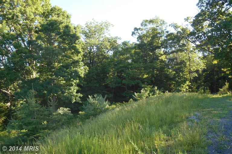 4523 Jersey Mountain Road