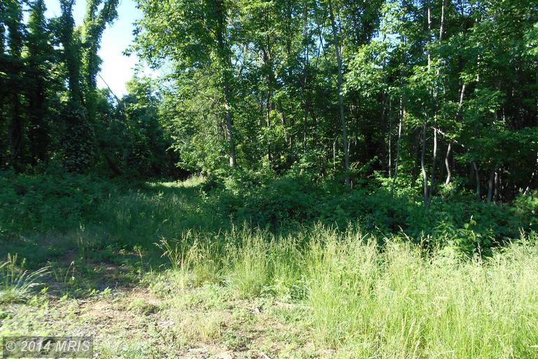 4523 Jersey Mountain Road