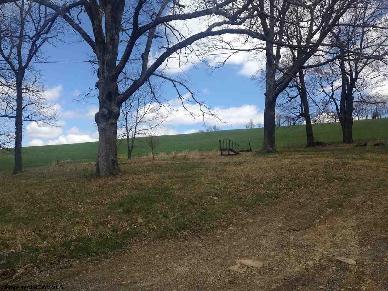3398 Spruce Run Road, Terra Alta, WV 26764