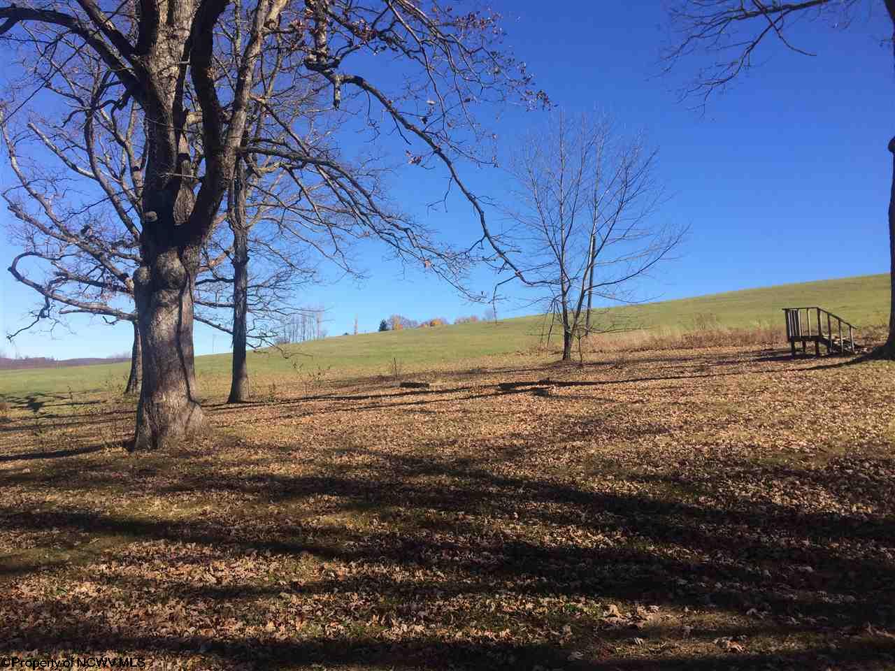 3398 Spruce Run Road, Terra Alta, WV 26764