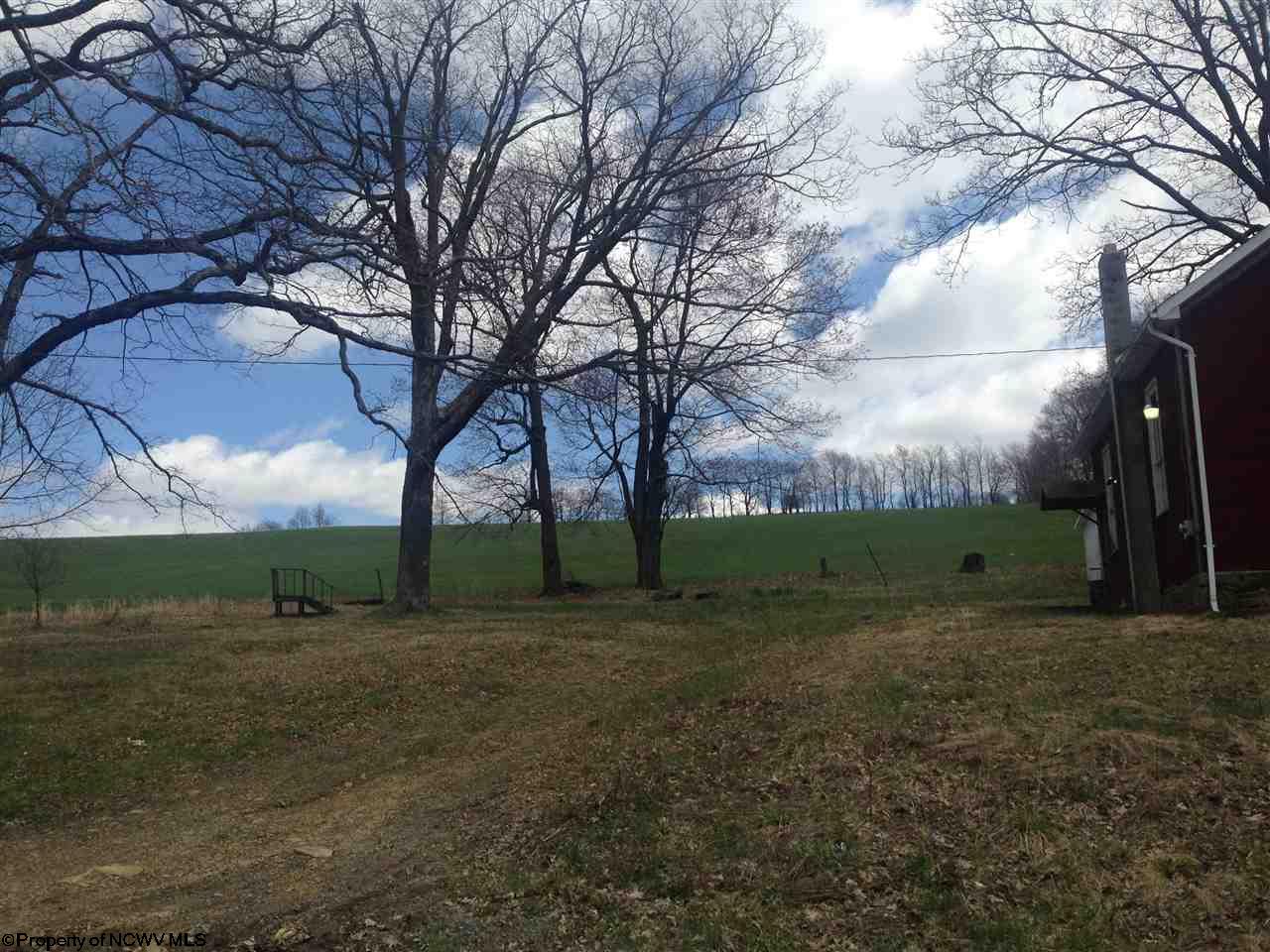 3398 Spruce Run Road, Terra Alta, WV 26764