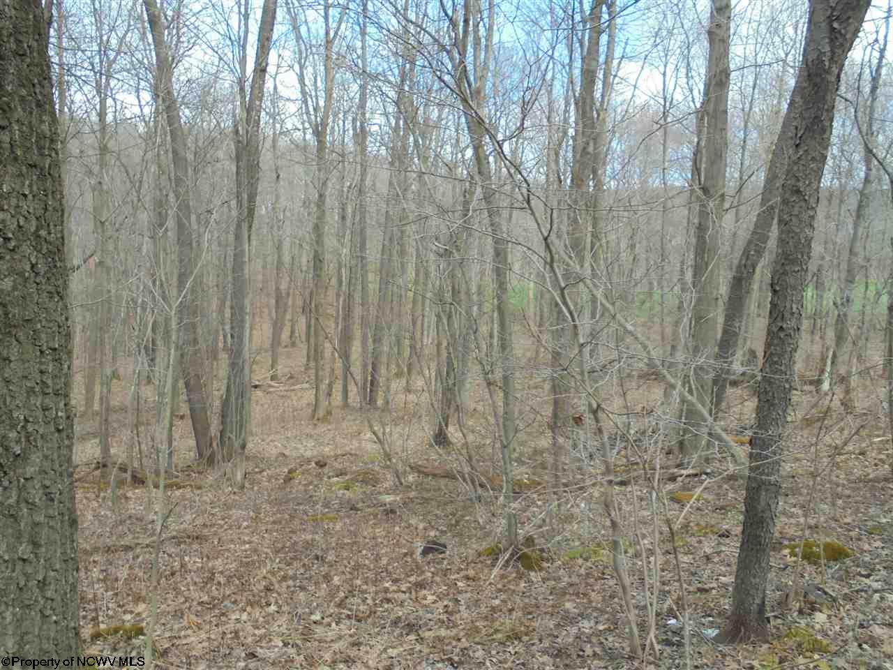 1915 Cranesville Road, Terra Alta, WV 26764