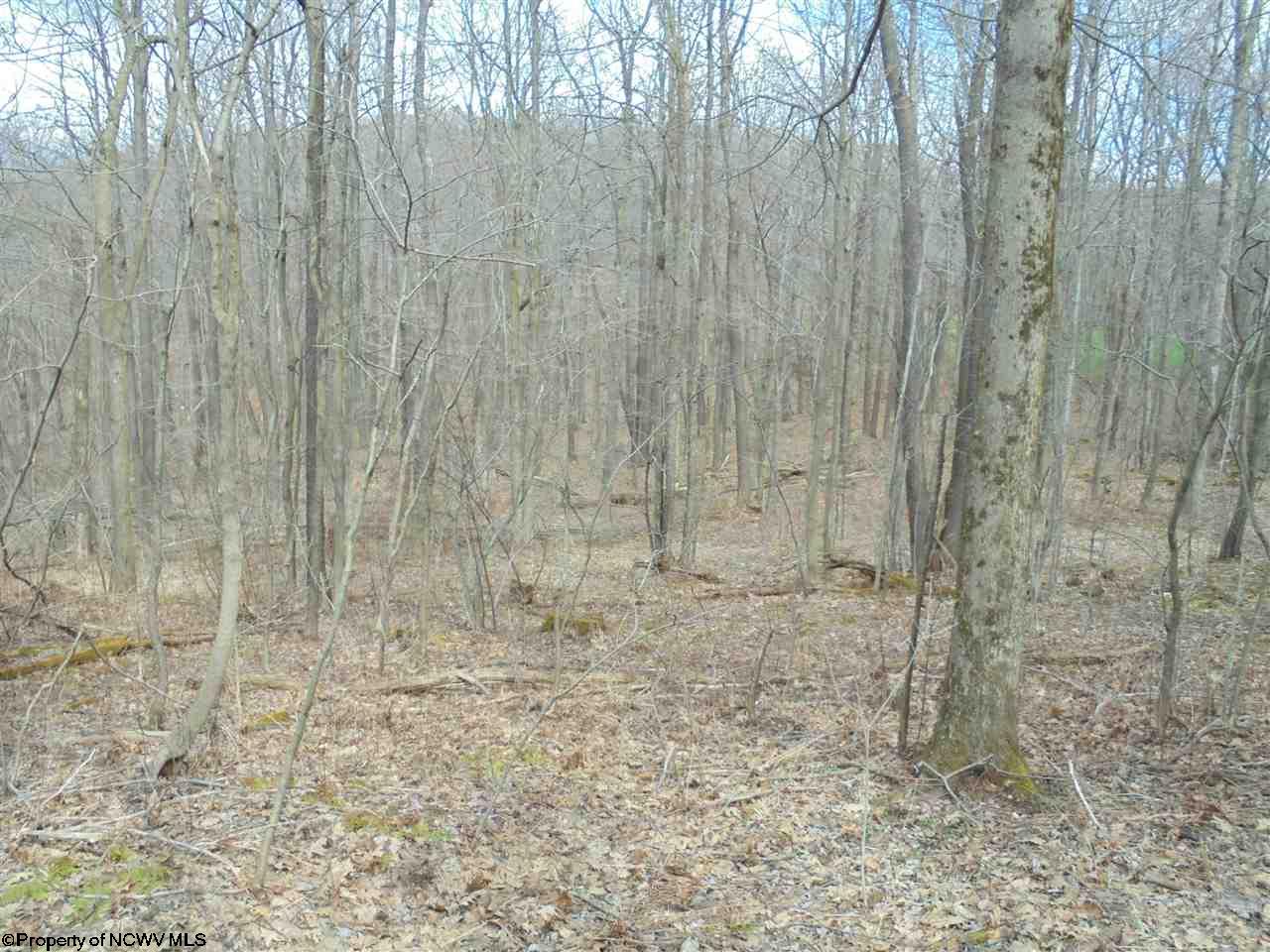 1915 Cranesville Road, Terra Alta, WV 26764