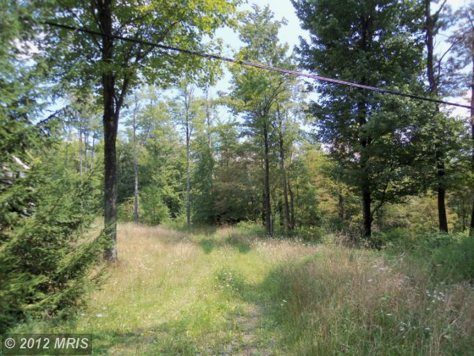 16 Hemlock Ridge Lane