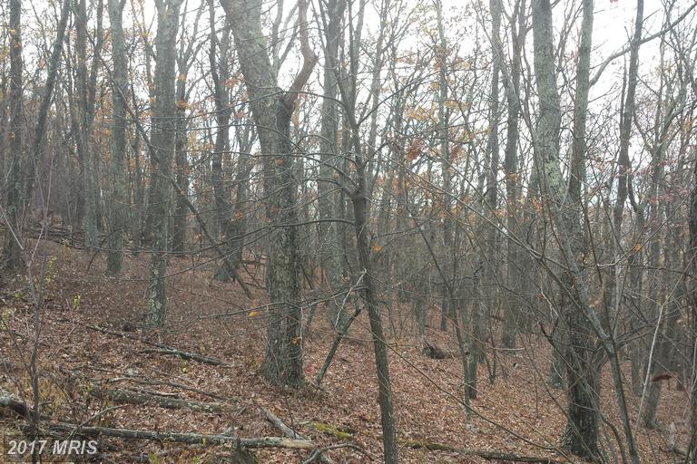 58 HEMLOCK DRIVE, Baker, WV 26801