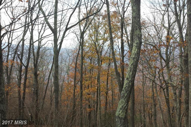 58 HEMLOCK DRIVE, Baker, WV 26801