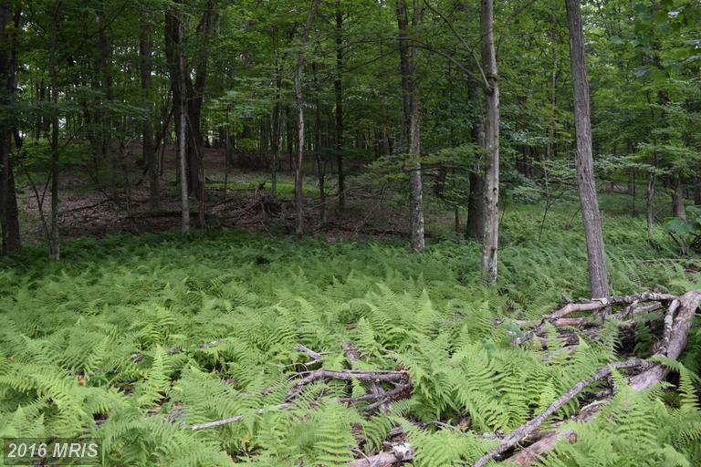 52 TROUT PASS, Lost River, WV 26810