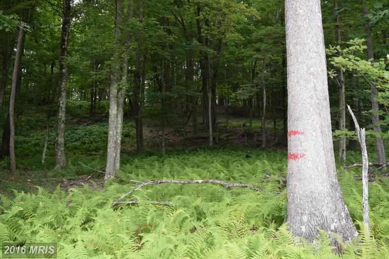 52 TROUT PASS, Lost River, WV 26810