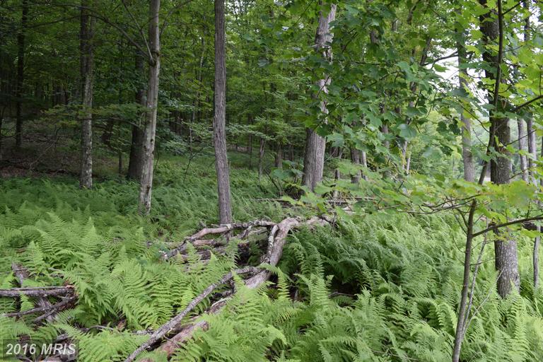 52 TROUT PASS, Lost River, WV 26810