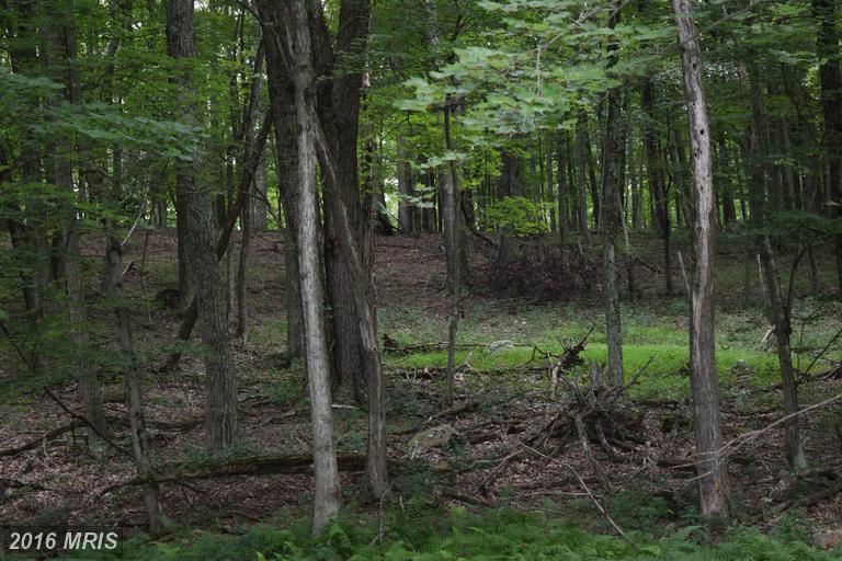 52 TROUT PASS, Lost River, WV 26810