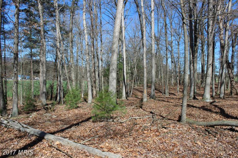 FALCON ROAD, Mathias, WV 26812