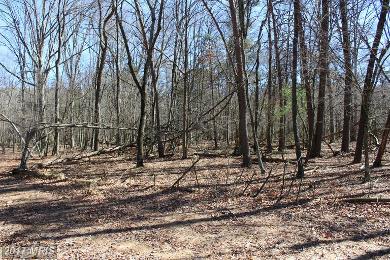 FALCON ROAD, Mathias, WV 26812