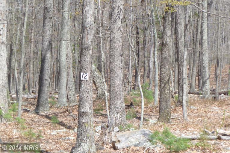 27 Trout Pass