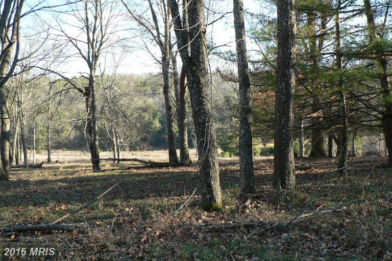LOT 28 9.66 ACS SUGAR GROVE ESTATES, Sugar Grove, WV 26815