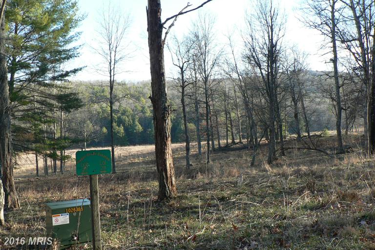 LOT 28 9.66 ACS SUGAR GROVE ESTATES, Sugar Grove, WV 26815
