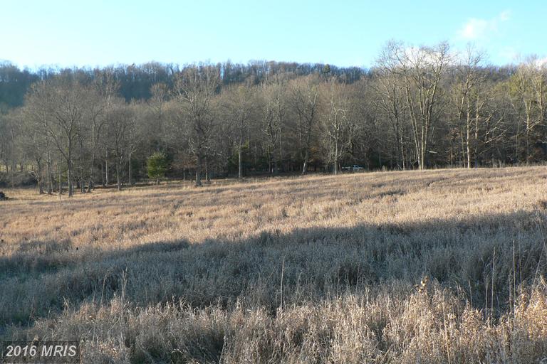 LOT 28 9.66 ACS SUGAR GROVE ESTATES, Sugar Grove, WV 26815