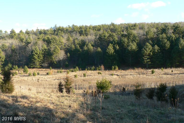 LOT 28 9.66 ACS SUGAR GROVE ESTATES, Sugar Grove, WV 26815