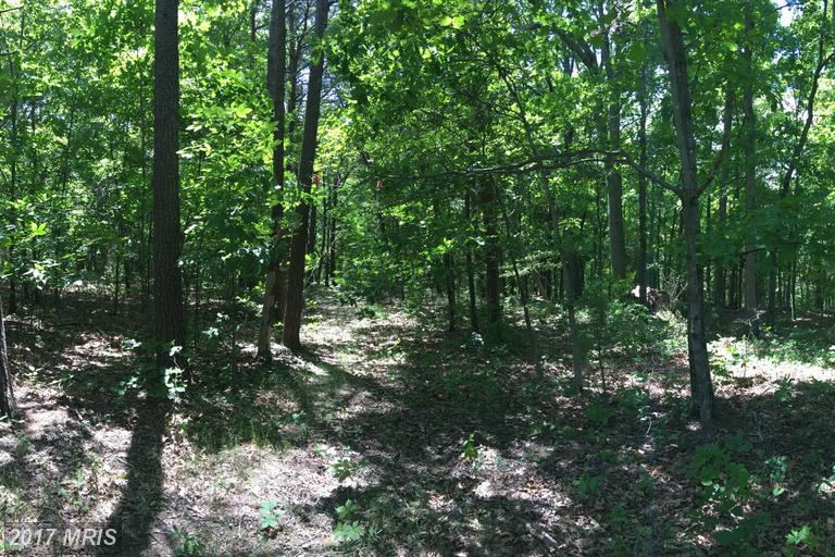 46 PINE TREE DRIVE, Bloomery, WV 26817