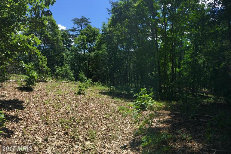 46 PINE TREE DRIVE, Bloomery, WV 26817
