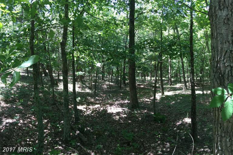 46 PINE TREE DRIVE, Bloomery, WV 26817