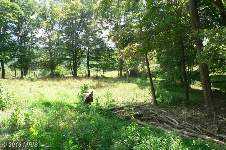 7.3 ACRES LUNICE CREEK HIGHWAY, Maysville, WV 26833