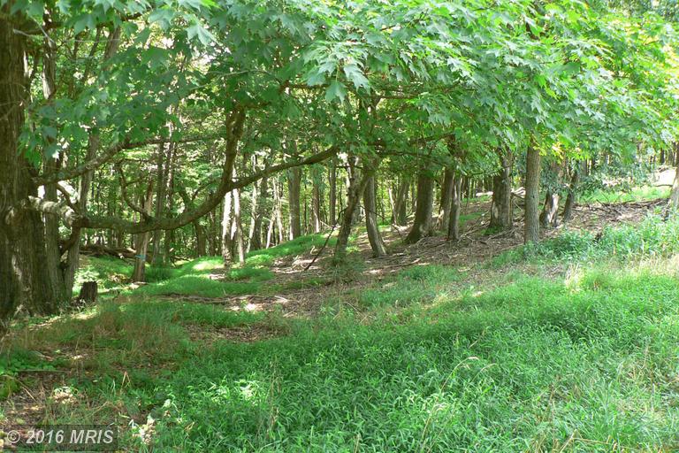 7.3 ACRES LUNICE CREEK HIGHWAY, Maysville, WV 26833
