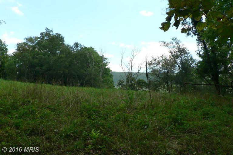 7.3 ACRES LUNICE CREEK HIGHWAY, Maysville, WV 26833