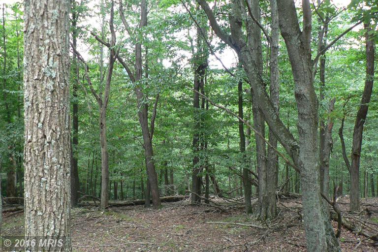 7.3 ACRES LUNICE CREEK HIGHWAY, Maysville, WV 26833