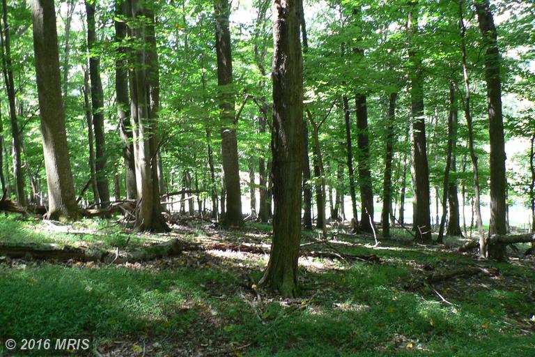 7.3 ACRES LUNICE CREEK HIGHWAY, Maysville, WV 26833