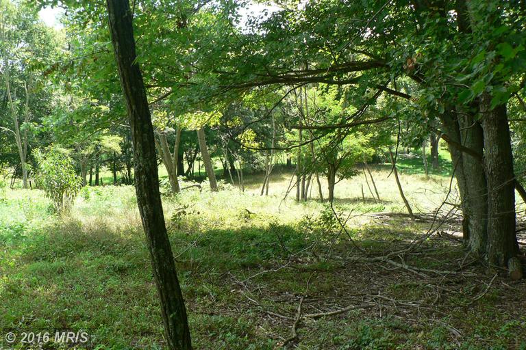 7.3 ACRES LUNICE CREEK HIGHWAY, Maysville, WV 26833