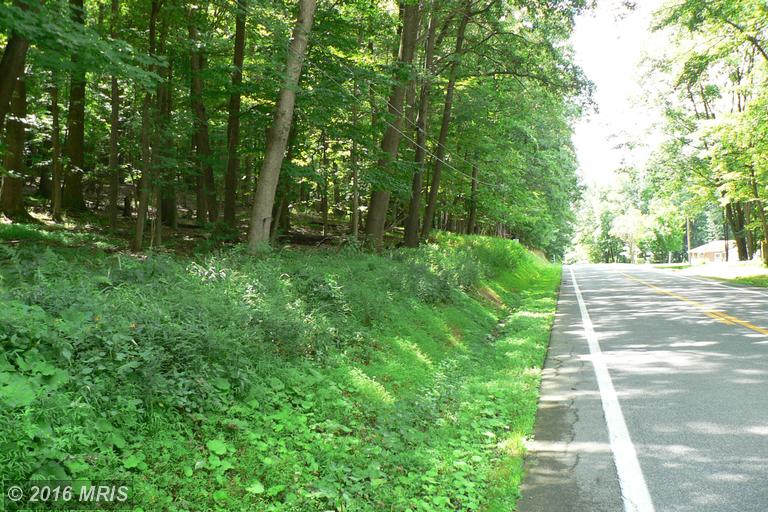 7.3 ACRES LUNICE CREEK HIGHWAY, Maysville, WV 26833