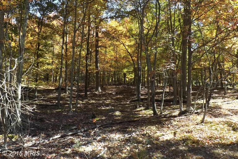 TIMBER TRAIL, Moorefield, WV 26836