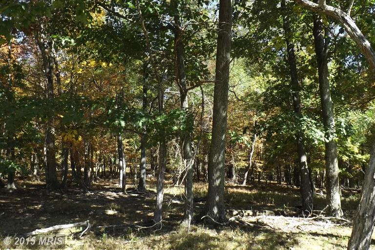 TIMBER TRAIL, Moorefield, WV 26836