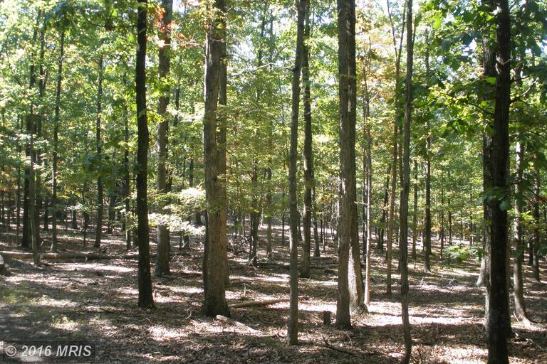 76 WILSON RUN TRAIL, Moorefield, WV 26836
