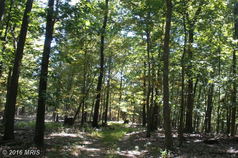 76 WILSON RUN TRAIL, Moorefield, WV 26836