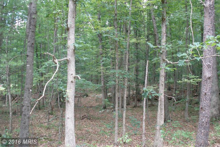 76 WILSON RUN TRAIL, Moorefield, WV 26836