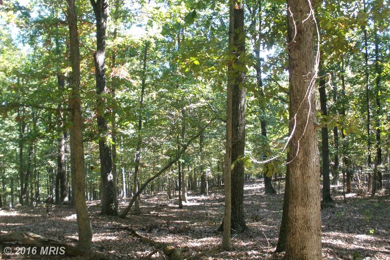 76 WILSON RUN TRAIL, Moorefield, WV 26836