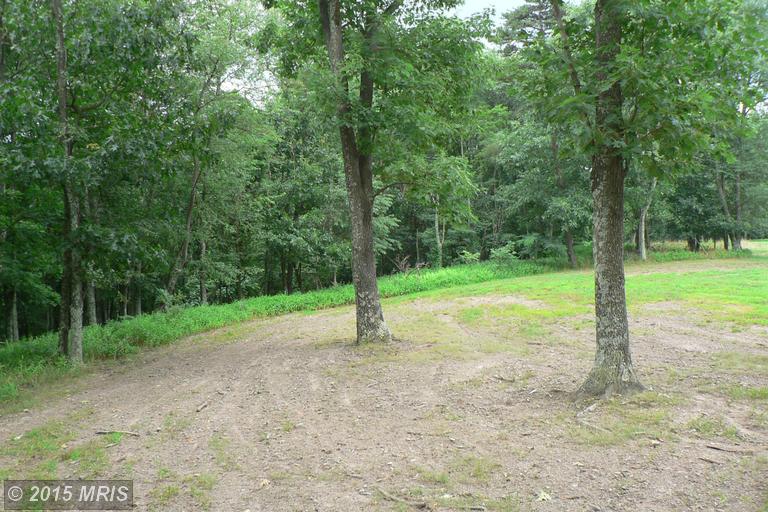 109 Red Spruce Drive