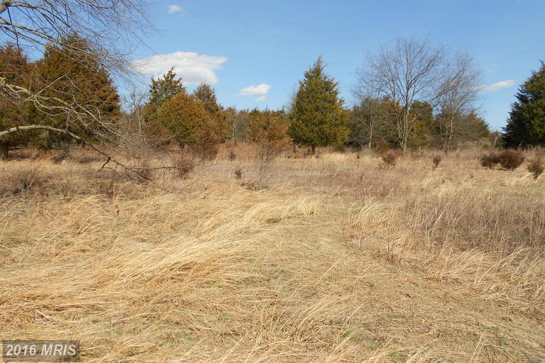 0 OLD FIELDS ROAD, Old Fields, WV 26845