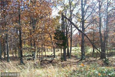 39 BERENGER DRIVE, Petersburg, WV 26847