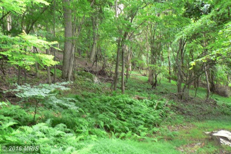 26 LOT 26 ELKHORN SUB DIV, Petersburg, WV 26847